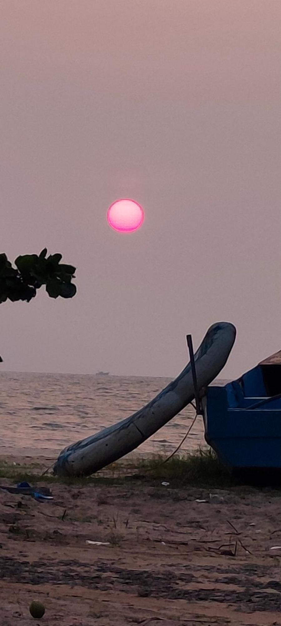 Marari Blue Whale Beach House Alappuzha Экстерьер фото