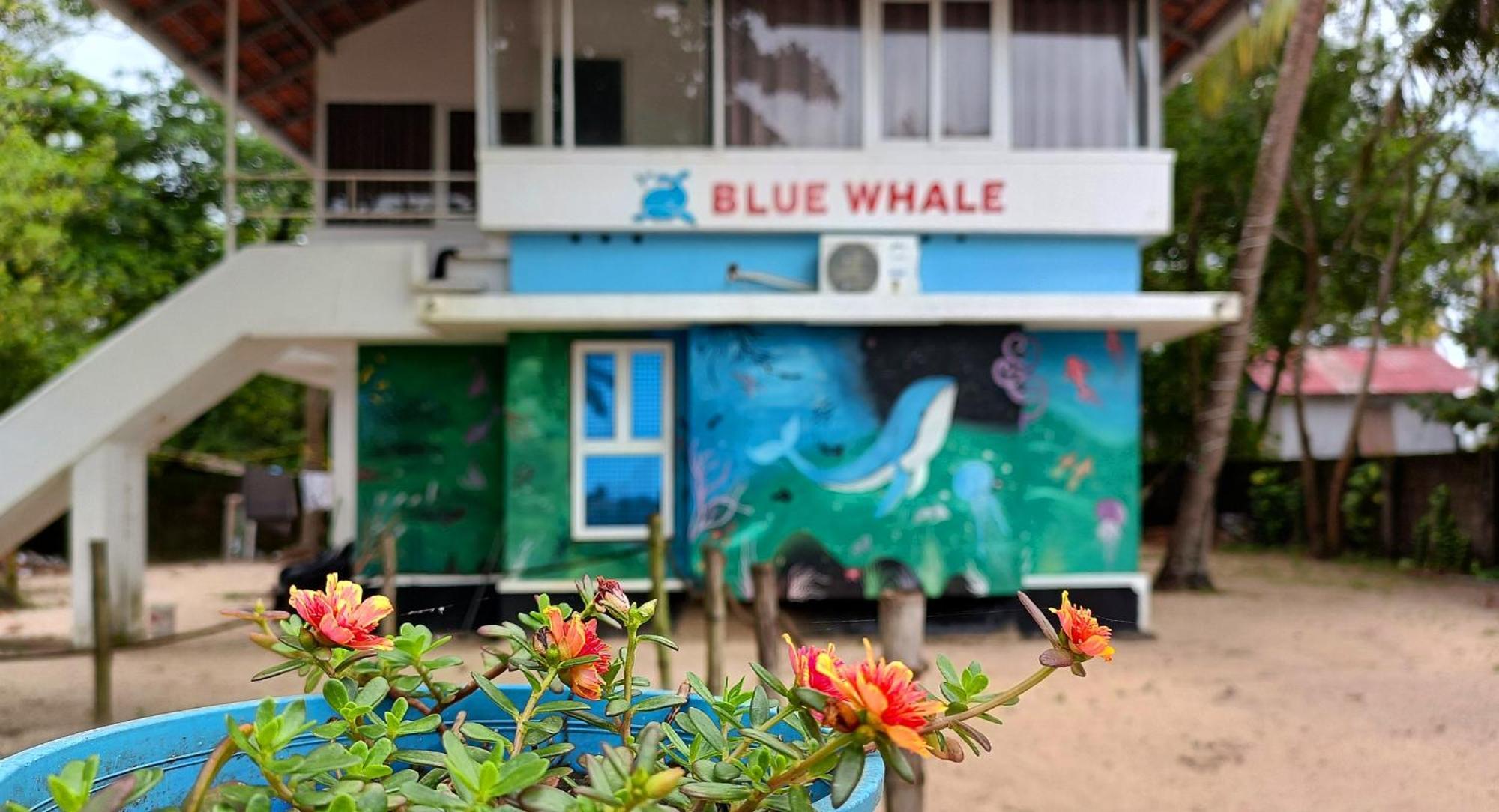 Marari Blue Whale Beach House Alappuzha Экстерьер фото